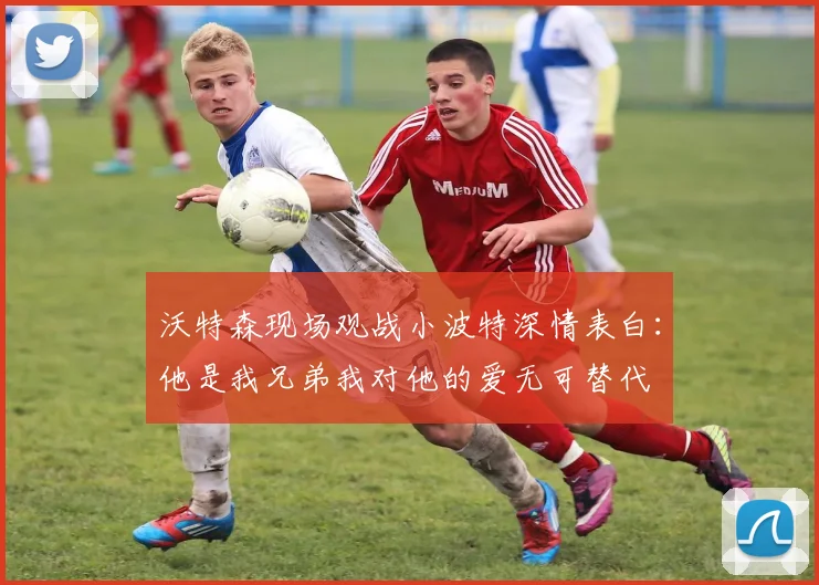 沃特森现场观战小波特深情表白：他是我兄弟我对他的爱无可替代