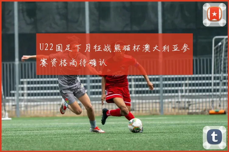 U22国足下月征战熊猫杯澳大利亚参赛资格尚待确认