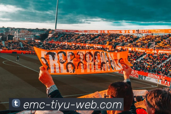 App Interface Preview