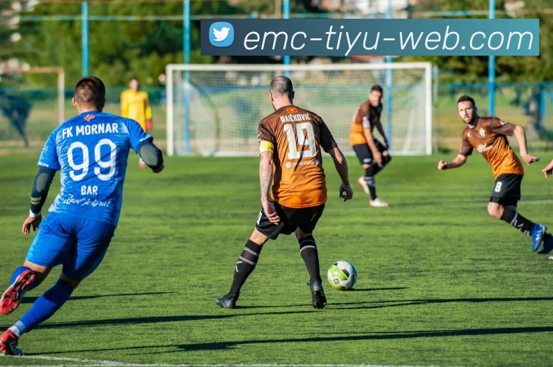 易倍体育APP 封面图