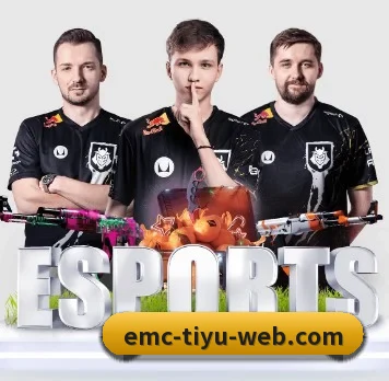 易倍体育 APP（EMCSPORTS）